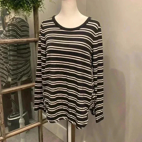 Market & Spruce Tops - Market & Spruce Zansia Curved Hem French Terry Knit Top